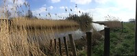 Droomlandschap