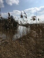 Lucht, water en land
