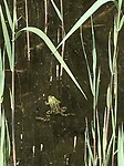 Prooi voor de reiger