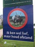 De tautossen