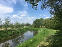 Wandelrustgebied