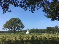 Langs de paden en wegen