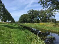 Graspad langs de Slingebeek