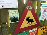 Meest noordelijk en Noors