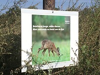 Troost punten?