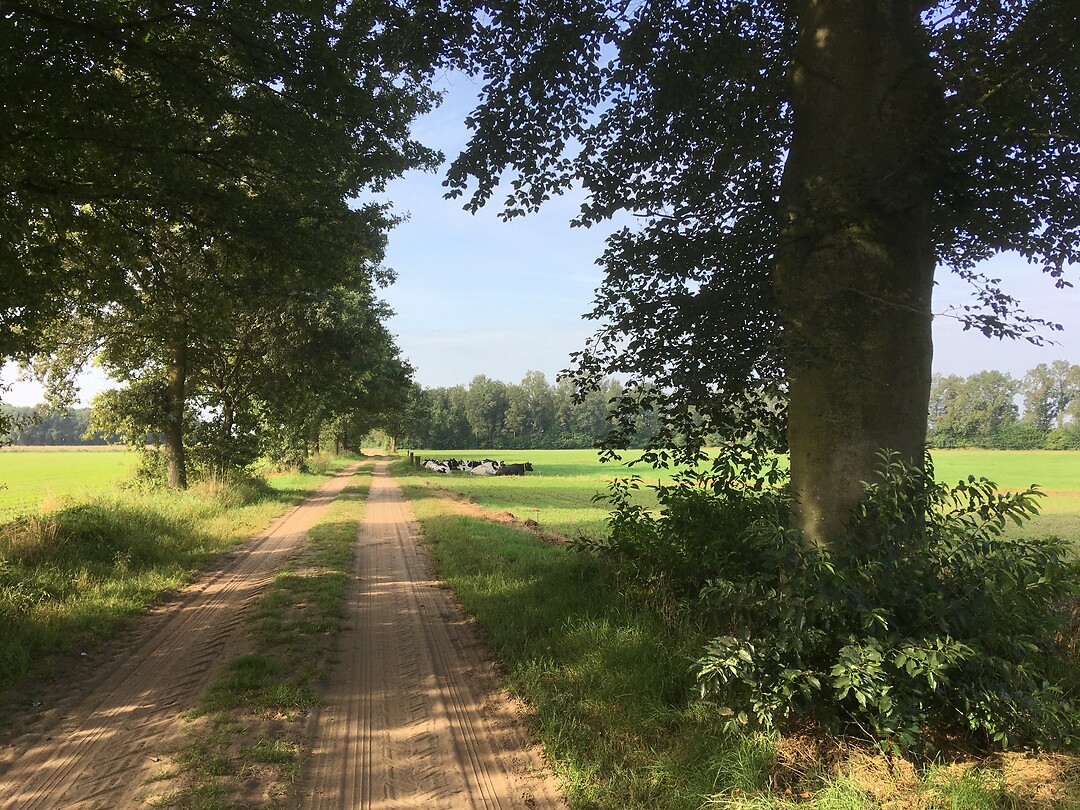 Trekkingparcour