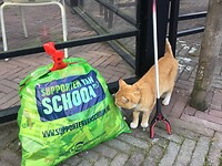niet voor de poes