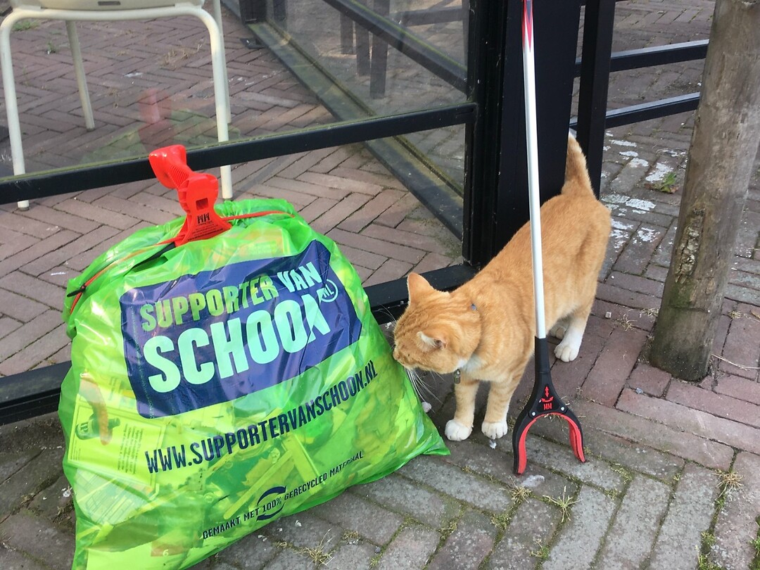 niet voor de poes