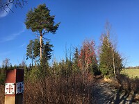 Afwisselend landschap