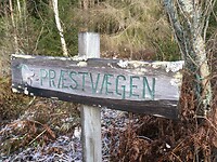 Praestervegen
