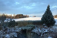 Verrassing 's morgens