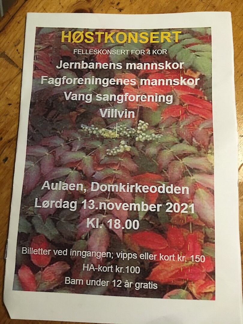 Programma concert