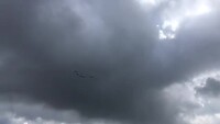 Op de vlucht