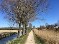 Bankje met rechts de Boezemvliet