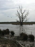 Water of land