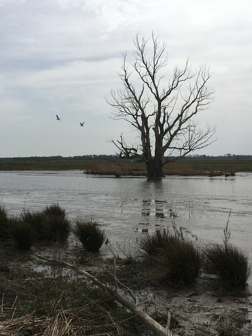 Water of land