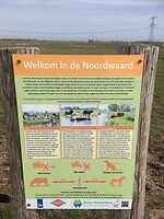 Info Noordwaard