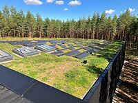 Zonnepanelen en groene dakbedekking