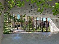 Bospark rondom The Plus