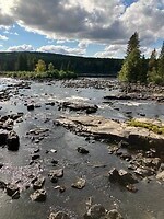 Elverum