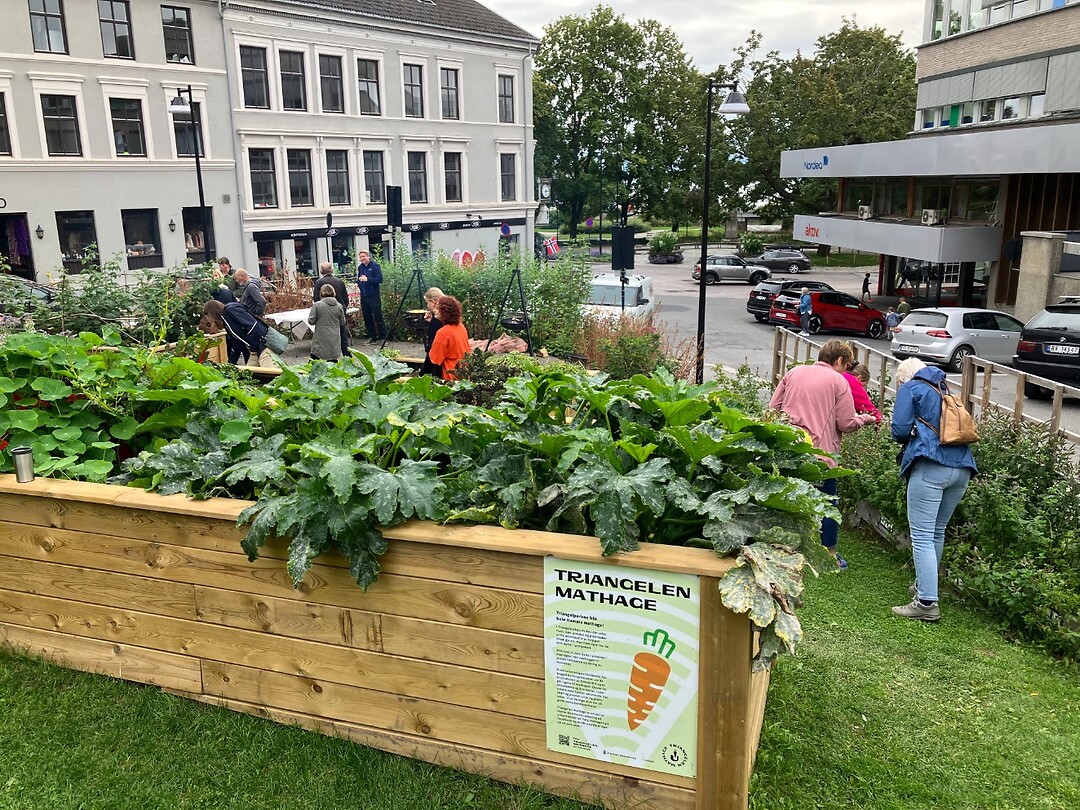 Stadstuin Hamar 1