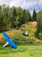 Sculptuur
