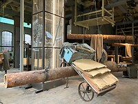 Kunst rond de boomstam