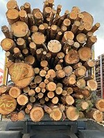 Achter het hout aan