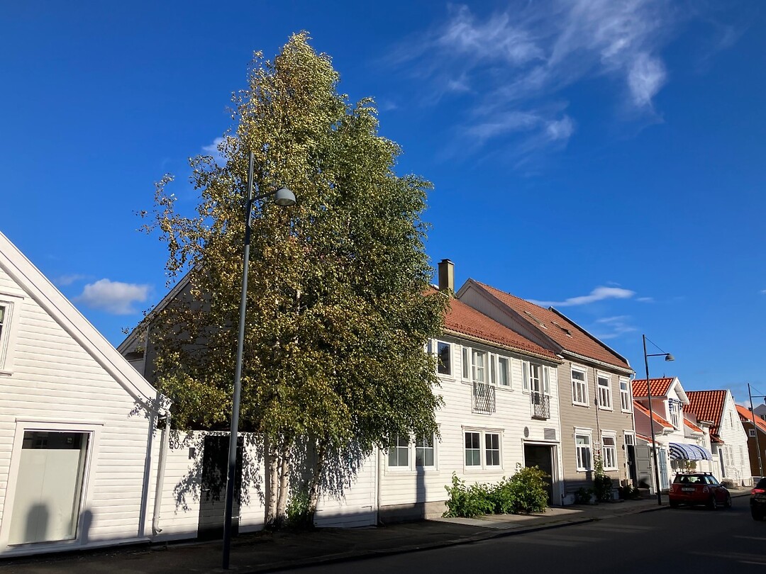 Posebyen (witte wijk van Kristiansand)