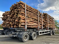 Hout