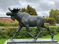 Skogmuseet Elverum (Noorwegen)