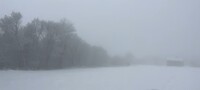 mist