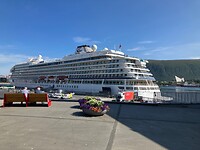 Viking uit Bergen