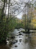 Natuur