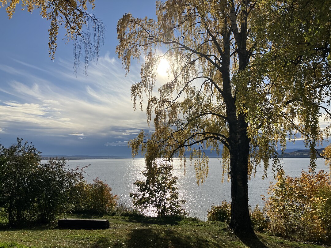 Meer Mjøsa