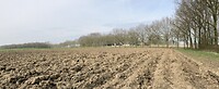 kale akkers wachten op groeiseizoen