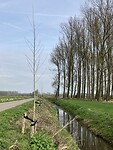 Nog veel te groeien