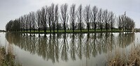 Mooiste foto van de dag
