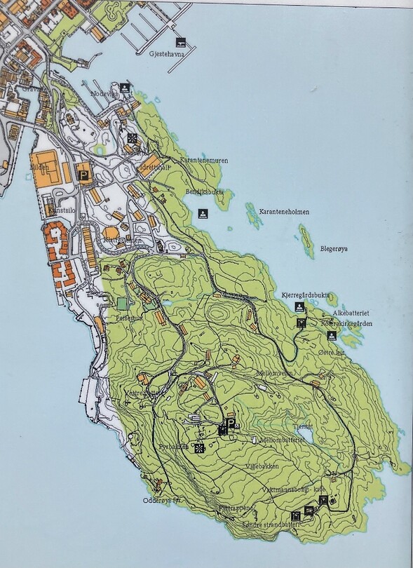 Schiereiland Odderøya