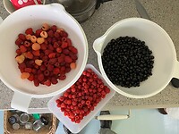 Vers geplukt