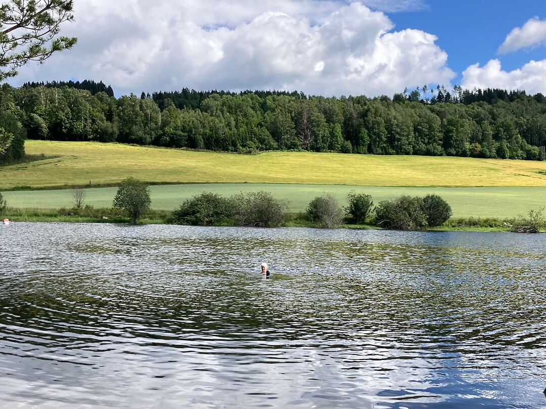 Zwemmen in de Mjøsa