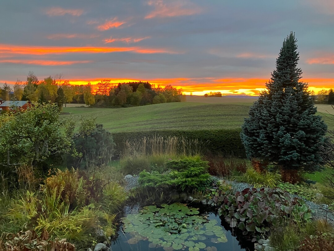 Uitzicht vanuit de woonkamer
