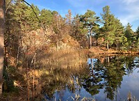 Glimlach van de natuur