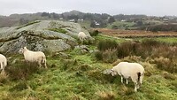 Geen fjord maar een fort natuurlijk in de uitleg