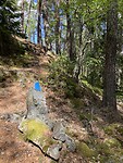 IMG_9145