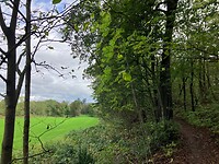 Start van mijn wandelroute