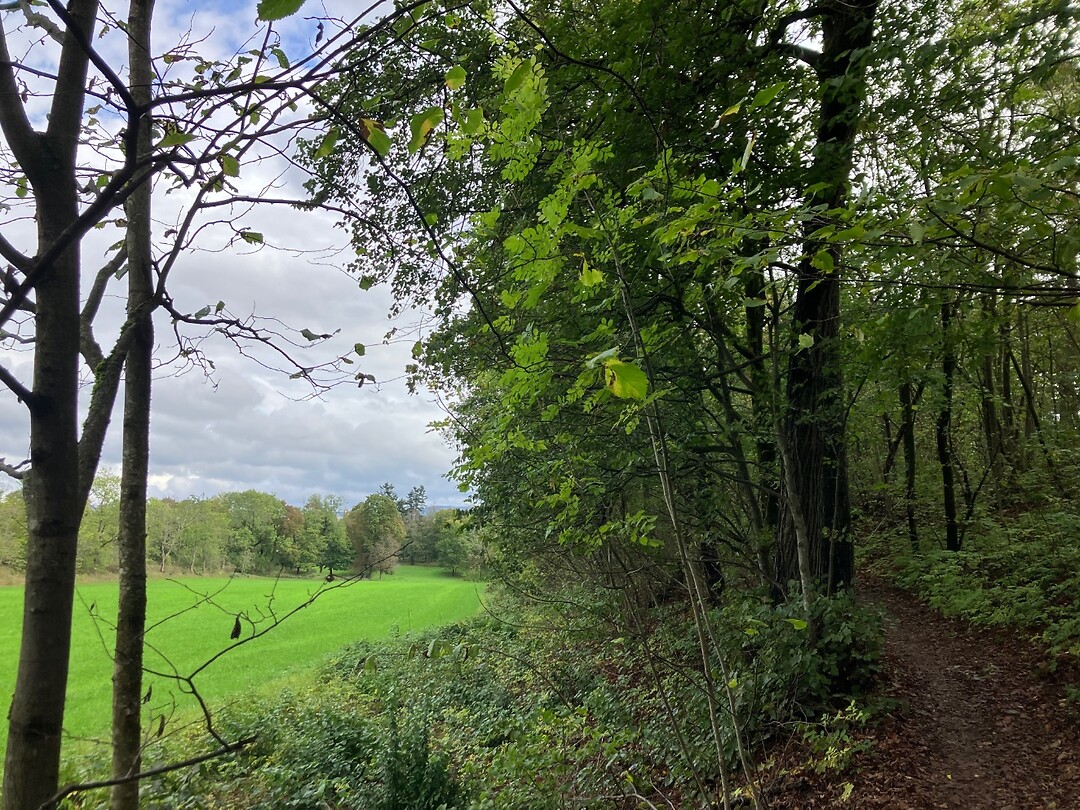 Start van mijn wandelroute
