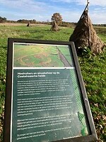 Uitleg sinusbeheer en hooiruiters