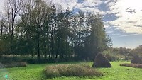 Landschap met hooiruiters