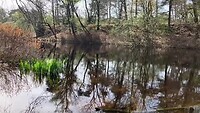 Eén minuut rust in de natuur